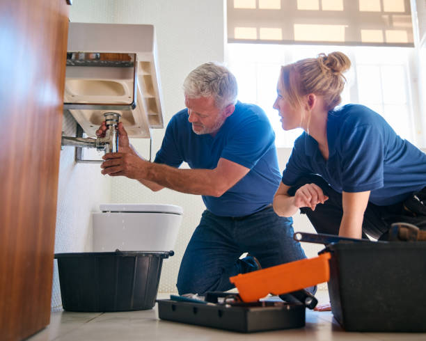 Best Water Softener Installation  in Hanapepe, HI